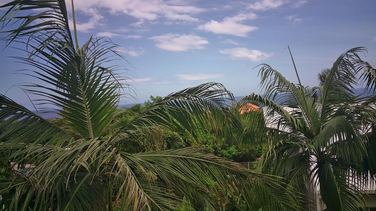 Un Petit Coin De Paradis A La Reunion Сен-Жозеф Экстерьер фото